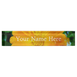 pretty full bloom summer yellow daisy flower. name plate