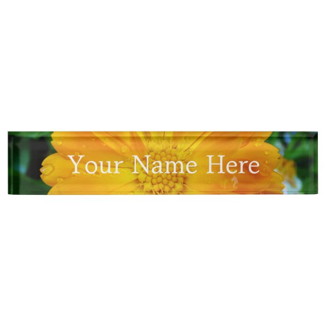pretty full bloom summer yellow daisy flower. name plate (Front)