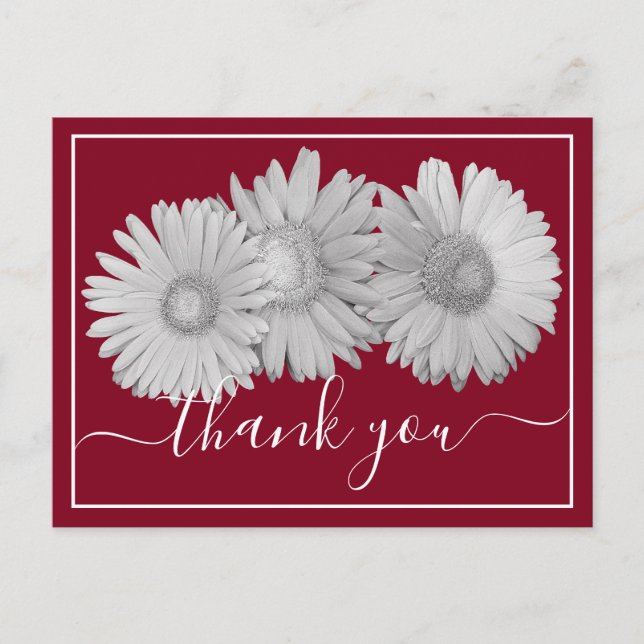 Pretty Gerbera Daisies Botanical Colorful Floral Postcard (Front)