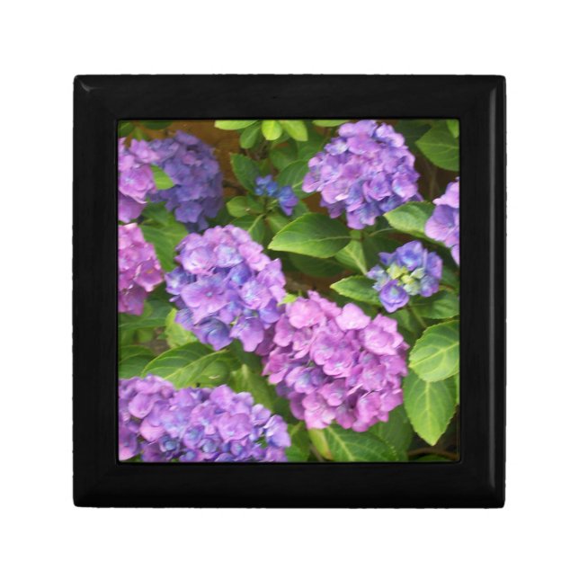 Pretty Gift Box with Hydrangeas (Front)