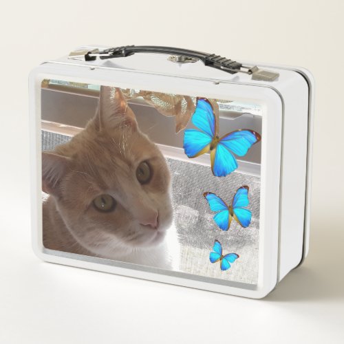 Pretty Ginger Cat  Blue Butterfly Metal Lunch box