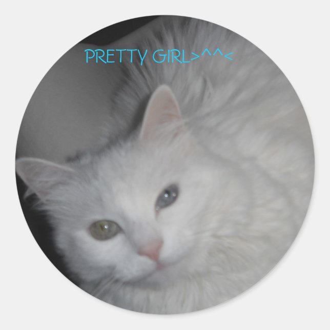 PRETTY GIRL>^^< CLASSIC ROUND STICKER (Front)