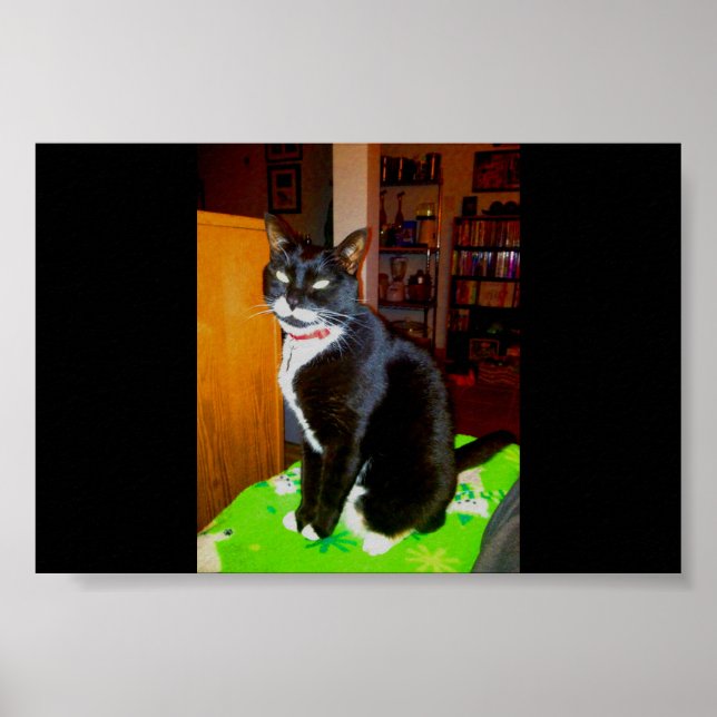 Pretty Girl Lucy Poster (Front)