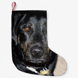 Pretty Girl Splash Small Christmas Stocking
