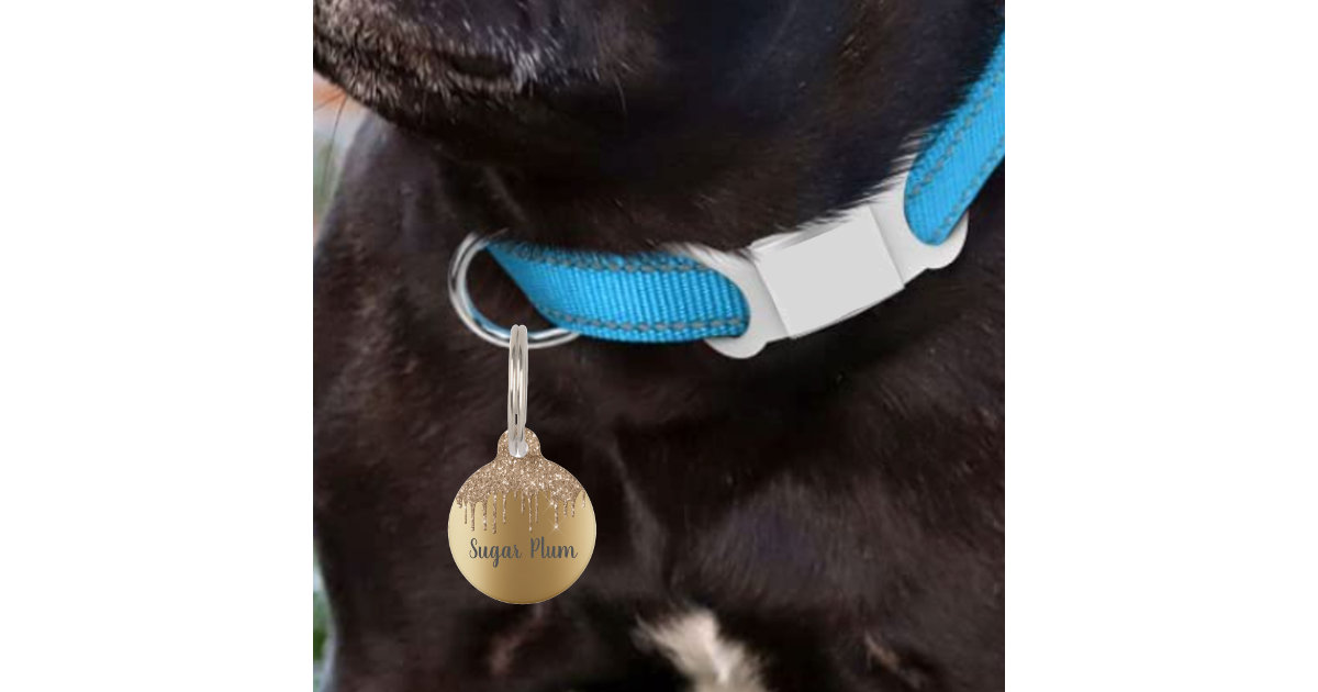 Cat Collars : IDPET, Personalised Pet Products with Personality