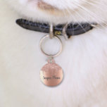 Pretty Glitter Drips Pet Dog Cat Lost Id Tag<br><div class="desc">This design may be personalized in the area provided by changing the photo and/or text. Or it can be customized by clicking Personalize this Template and then choosing the click to customize further option and delete or change the color of the background, add text, change the text color or style,...</div>