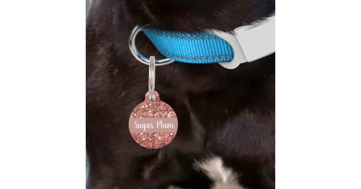 Microchipped Acrylic Pet Cat Dog Collar ID Tag Dog & Cat ID 