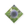 Pretty Globe Thistle Paper Napkins