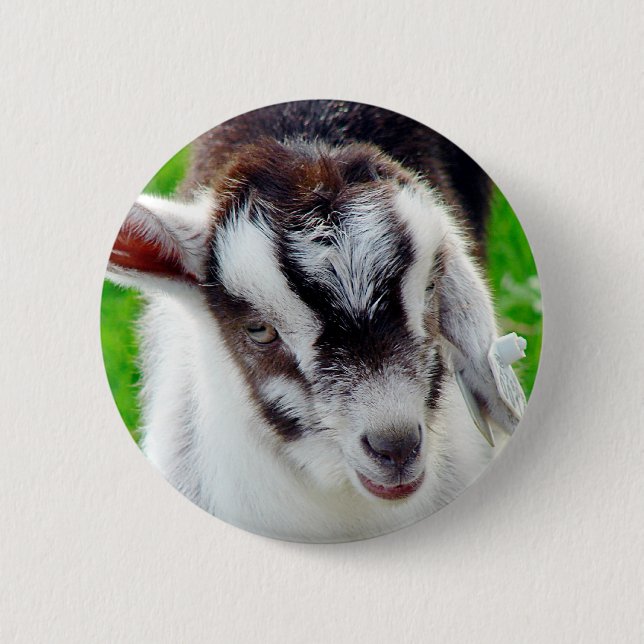 Pretty Goat Kid Button (Front)