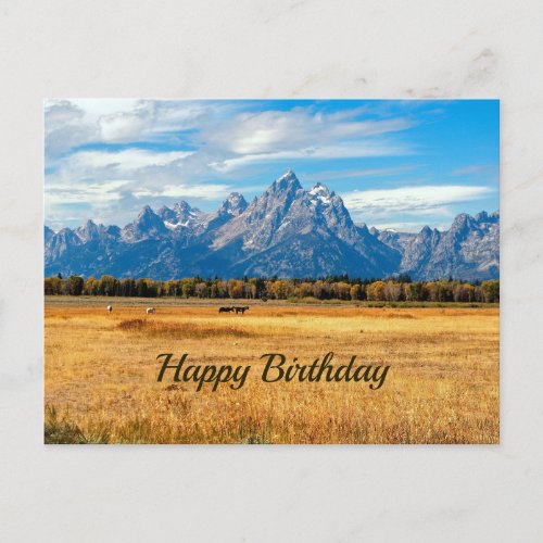 Pretty Golden Field Mountains Birthday Postcard