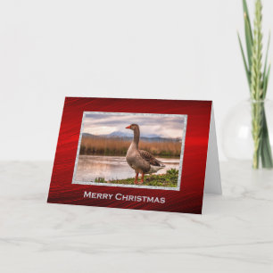 Pretty Goose Landscape Photo Christmas Holiday Card