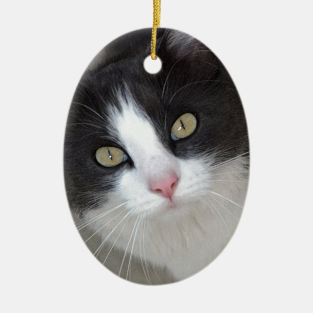 Pretty gray and white cat ceramic ornament (Front)