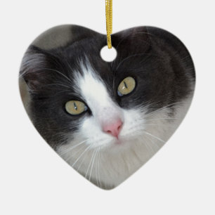 Pretty gray and white cat ceramic ornament