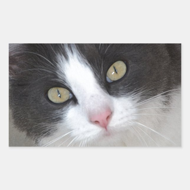Pretty gray and white cat rectangular sticker (Front)