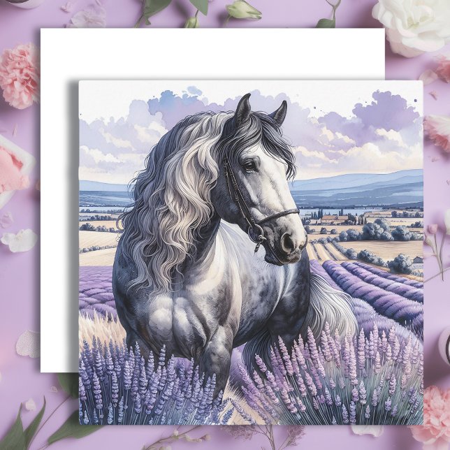 Pretty Gray Horse Standing in Lavender (Creator Uploaded)