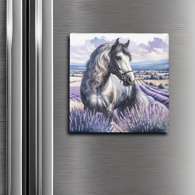 Pretty Gray Horse Standing in Lavender Magnet (Creator Uploaded)
