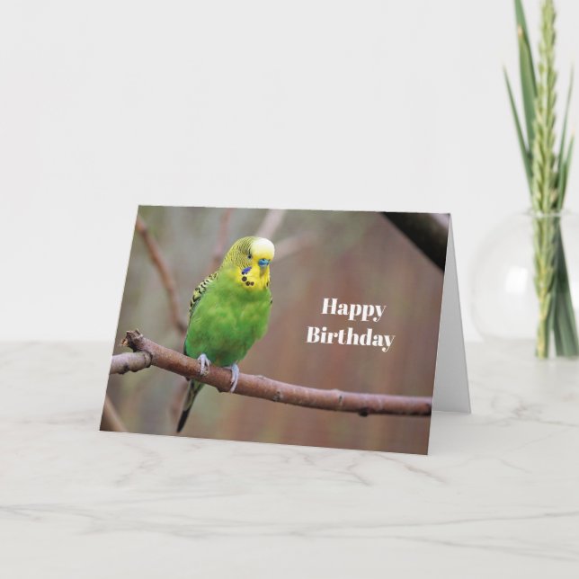 Pretty Green Budgie Photo Birthday Card (Front)