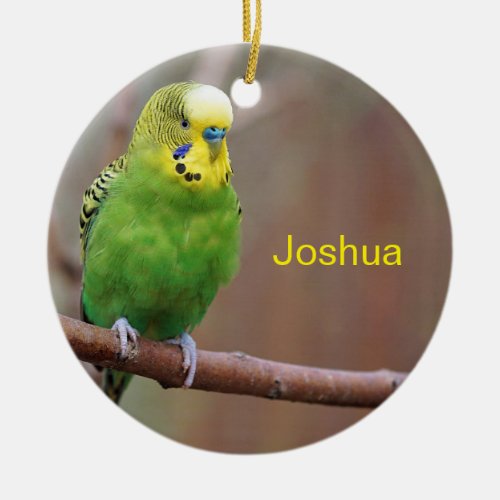 Pretty Green Budgie Photo Ceramic Ornament