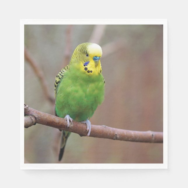 Pretty Green Budgie Photo Napkins (Front)