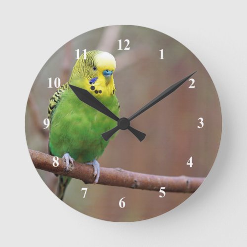Pretty Green Budgie Photo Round Clock