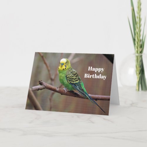 Pretty Green Parakeet Photo Birthday Card