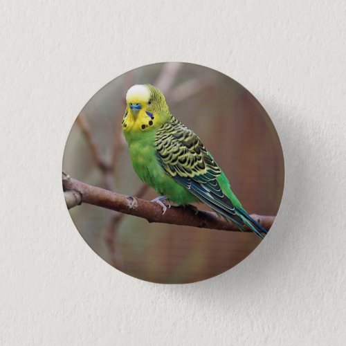 Pretty Green Parakeet Photo Button