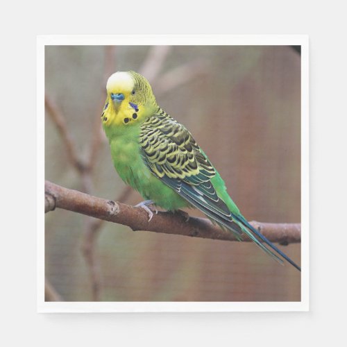 Pretty Green Parakeet Photo Napkins