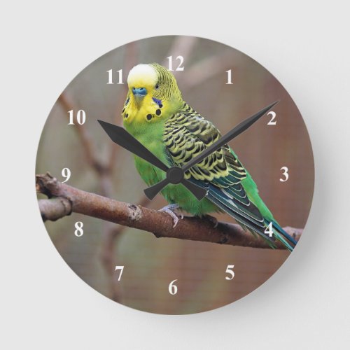 Pretty Green Parakeet Photo Round Clock