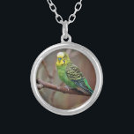 Pretty Green Parakeet Photo Silver Plated Necklace<br><div class="desc">The budgerigar (Melopsittacus undulatus) is a long-tailed,  seed-eating parrot usually nicknamed the budgie or the parakeet.</div>
