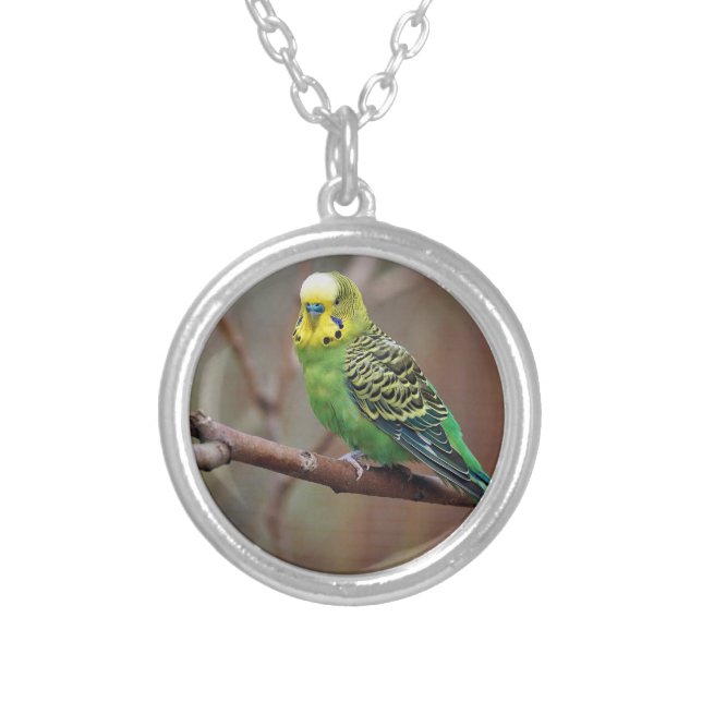 Pretty Green Parakeet Photo Silver Plated Necklace (Front)
