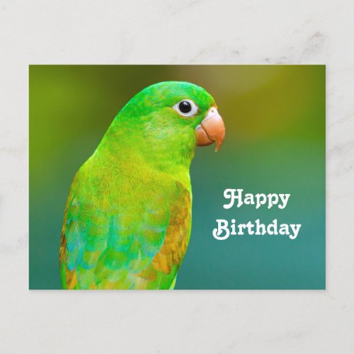 Pretty Green Parrot Photo Birthday Postcard