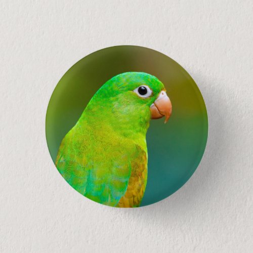 Pretty Green Parrot Photo Button