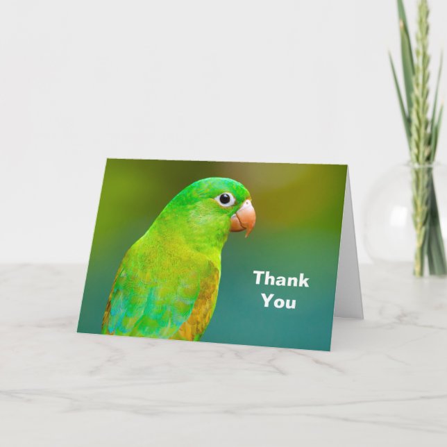 Pretty Green Parrot Photo Thank You Card (Front)