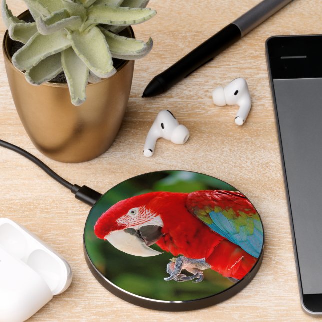 Pretty Green-Winged Macaw Parrot Bird Wireless Charger (Desk 2)