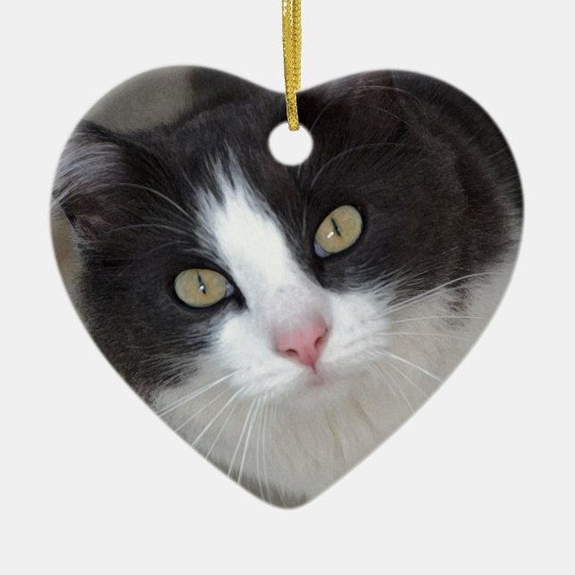 Pretty grey and white cat ceramic ornament (Front)