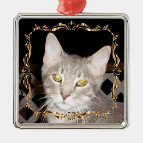 Pretty Grey Kitty Sqaure Christmas Ornament