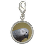 Pretty Grey Parrot Charm