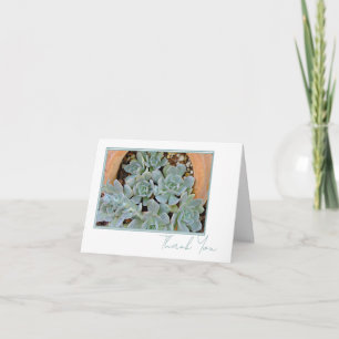 Pretty Hen & Chicks Any Occasion Script 4 x 6 Letterpress Thank You Card