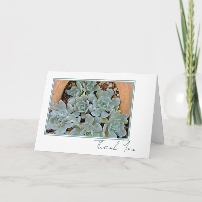 Pretty Hens & Chicks Any Occasion Script 5 x 7  Thank You Card (Front)