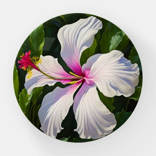Pretty Hibiscus Tropical Flower Art Paperweight