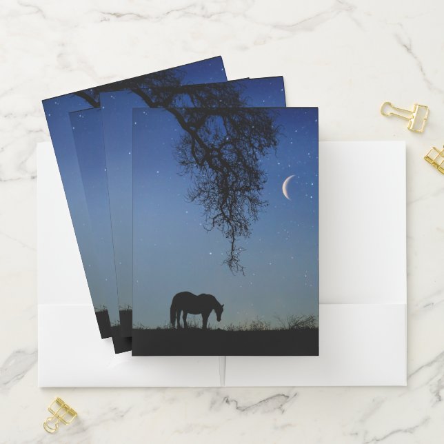 Pretty Horse and Moon Folder (In Situ)
