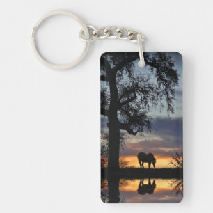 Pretty Horse and Water Keychain