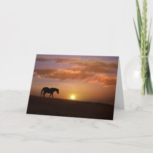 Pretty Horse Blank Note Cards