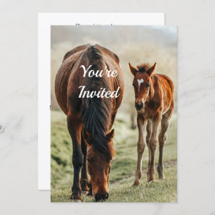 Pretty Horse Foal Photo Birthday Invitation