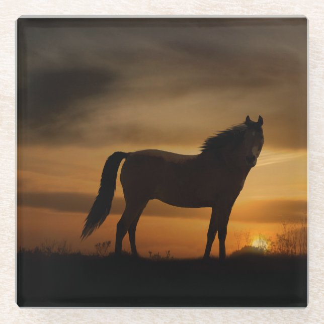 Pretty Horse in the Sunset Coaster (Front)