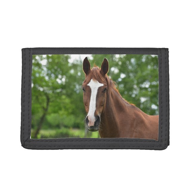 Pretty Horse Photo Wallet (Front)