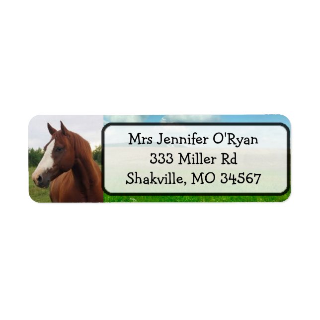 Pretty Horse Return Address Labels (Front)