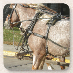 Pretty Horses Drink Coaster