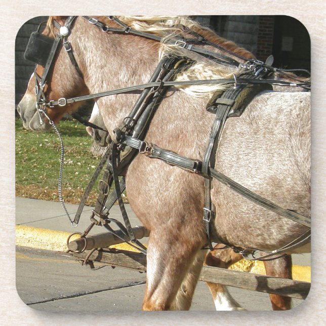 Pretty Horses Drink Coaster (Front)