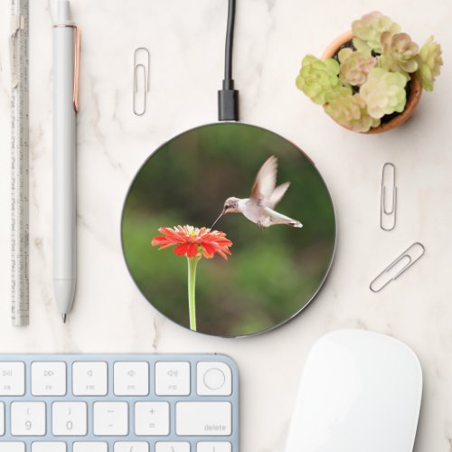 Pretty Hummingbird and Flower Nature  Wireless Charger